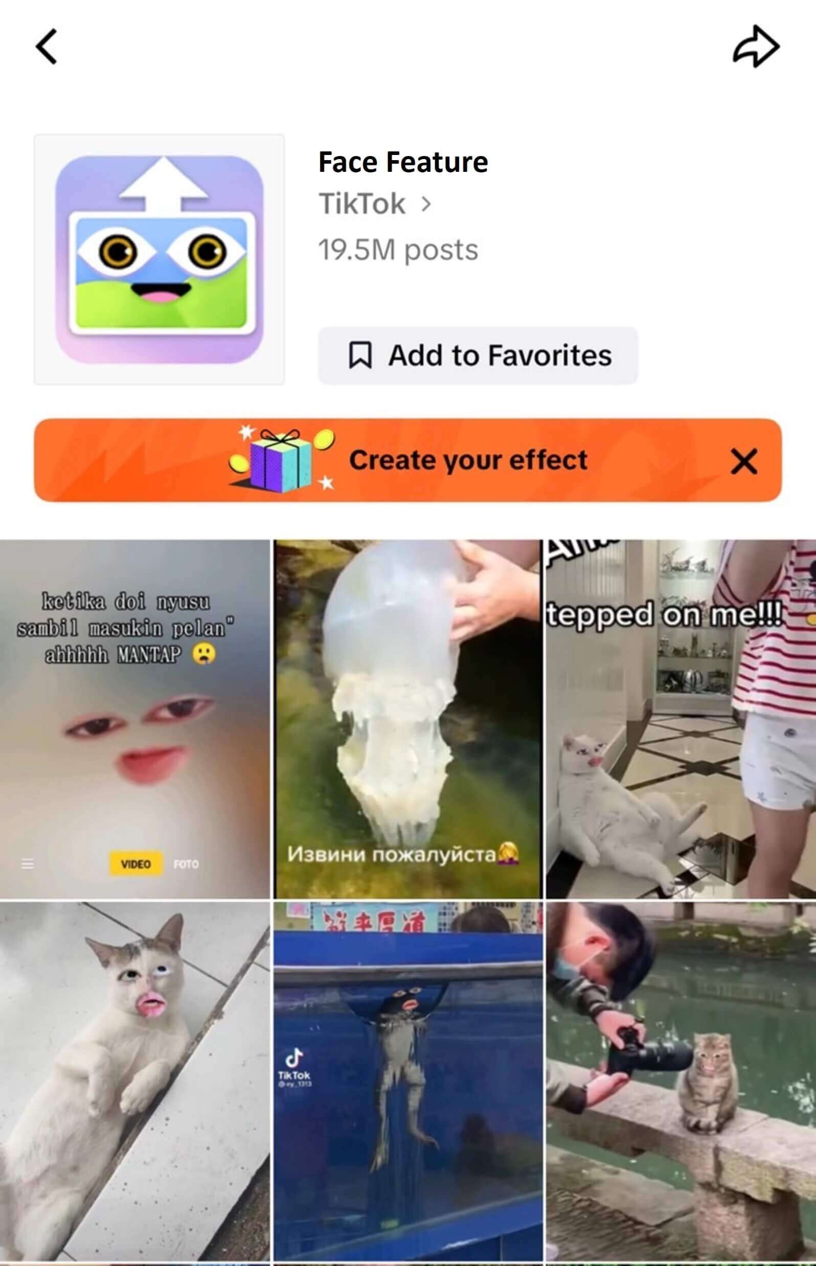 TikTok Face Feature effect used for close-up eye color analysis.