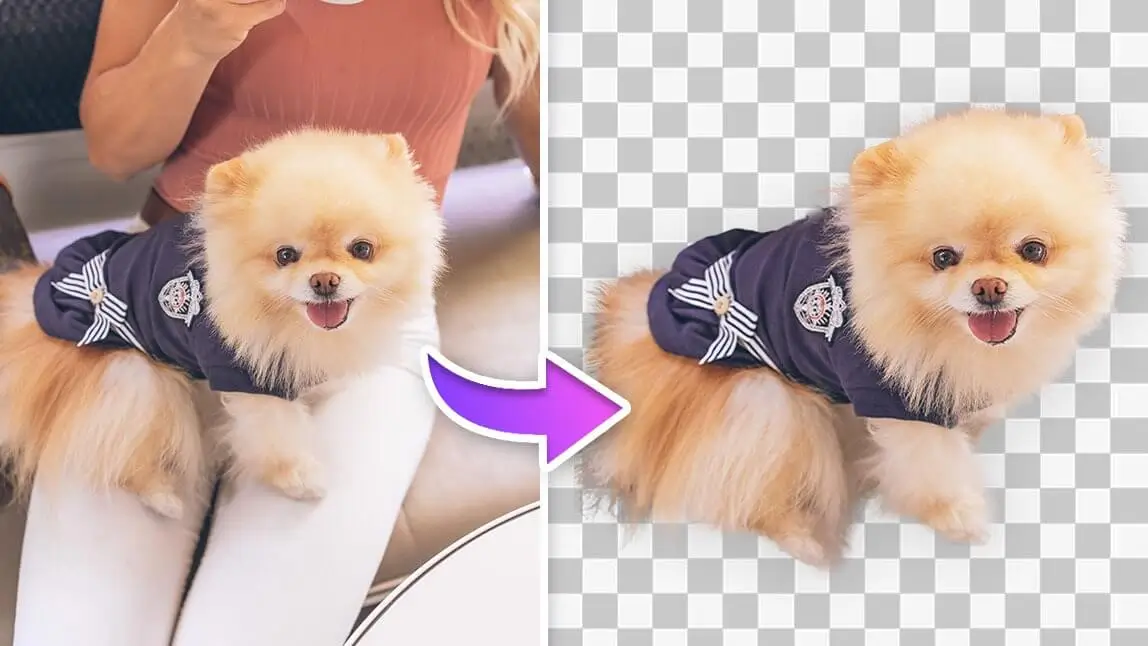 【實測】9 款線上免費去背網站，自動線上去背、去除背景