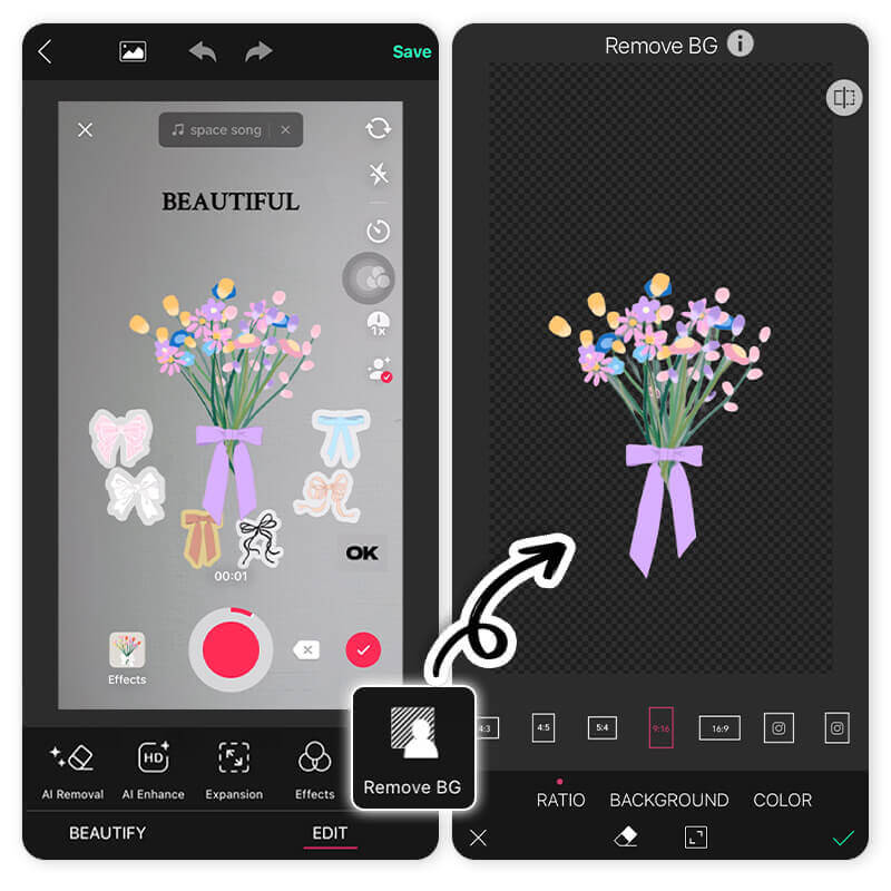 Comment créer un fond d'écran avec le langage des fleurs Filtre Langage des Fleurs sur TikTok