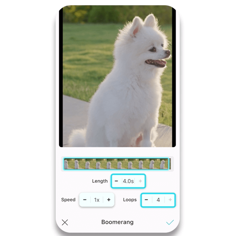 Bonus Tip: How to Make Boomerang Videos Longer