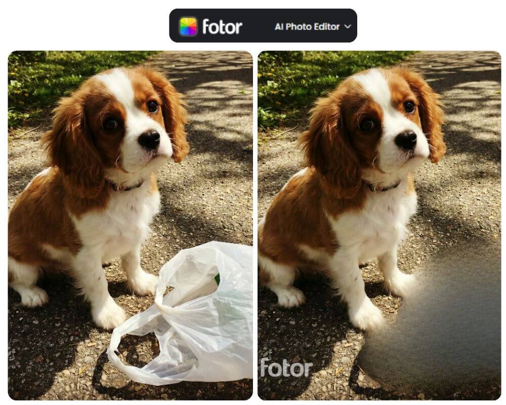 Fotor : supprimer objet sur photo en ligne