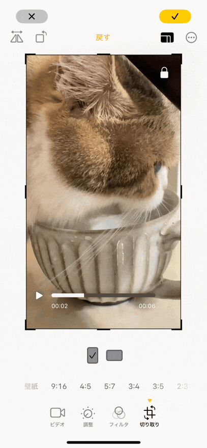 被写体が画面外に切れてしまう