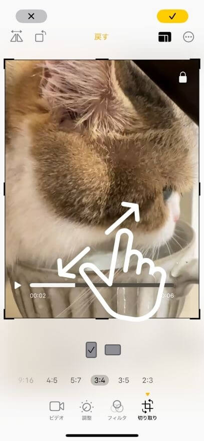 動画の大きさを調整して完成