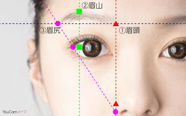 眉毛の黄金比