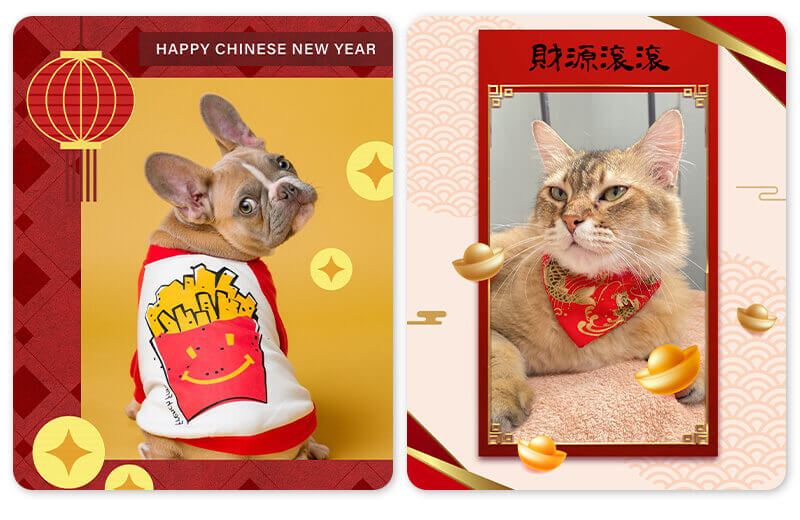 Pet’s Lunar New Year Cards