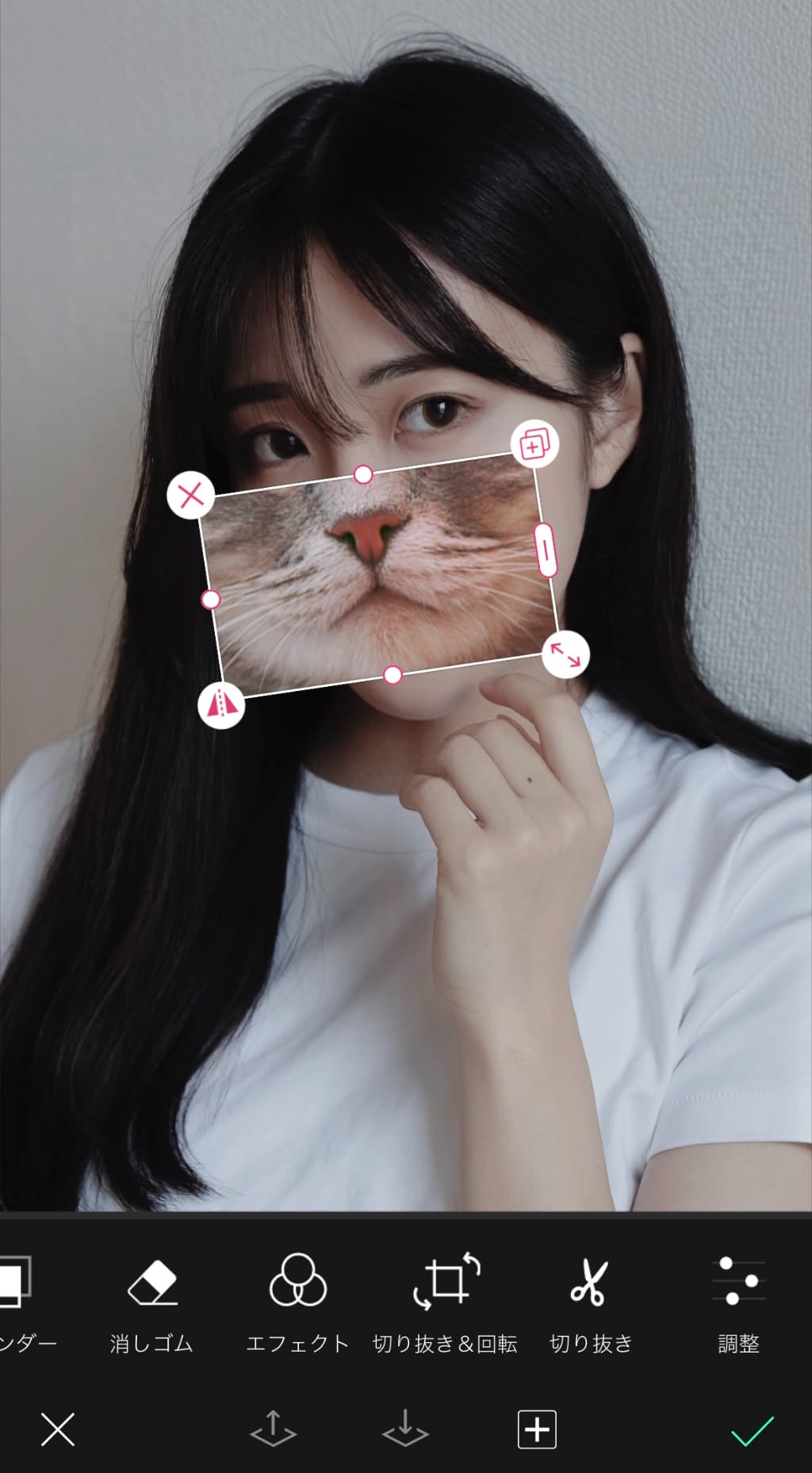 猫の写真を切り抜いて口を隠す