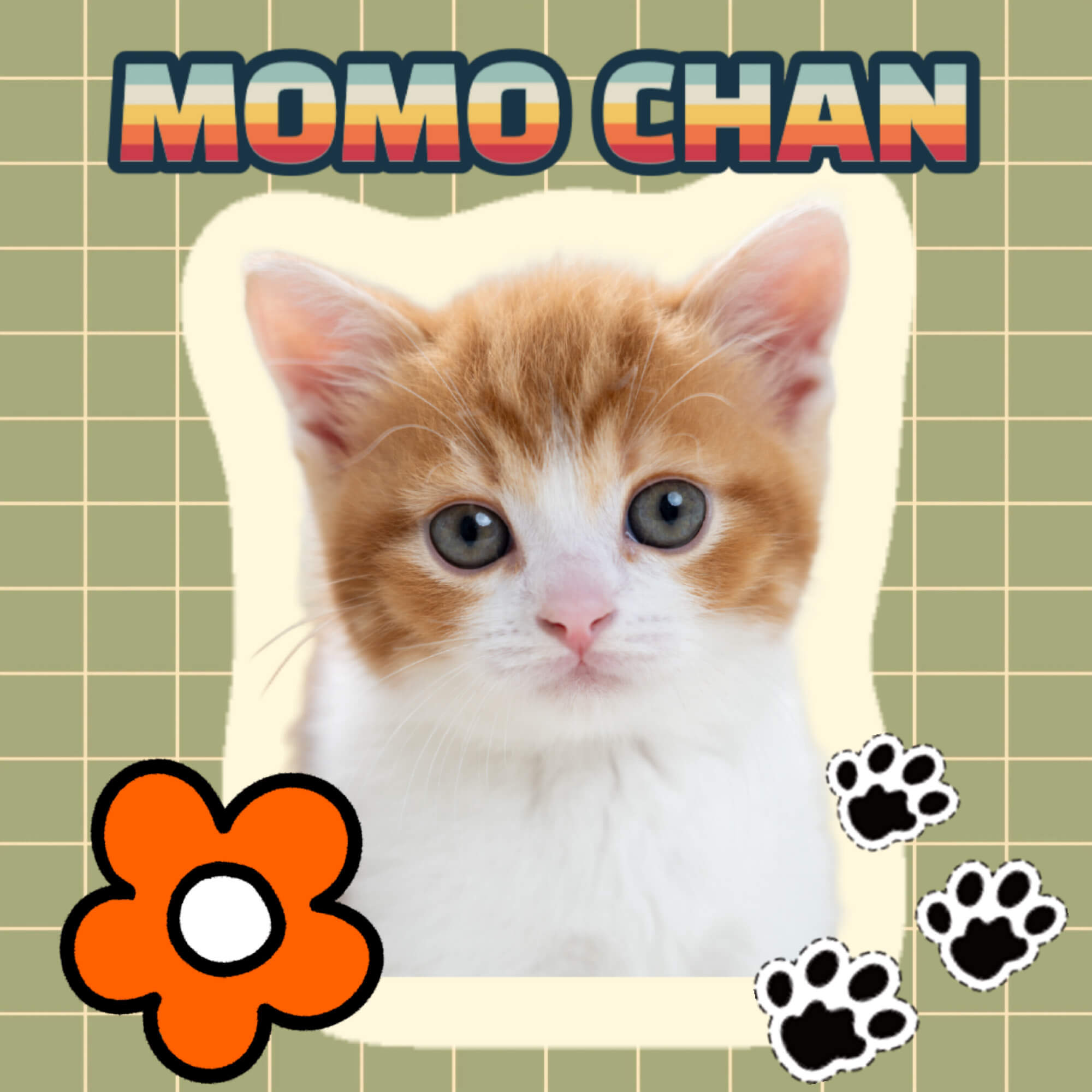 アプリで作成したステッカー