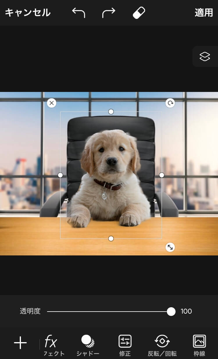 『Picsart』のAIコラ画像 『Picsart』のAIコラ画像