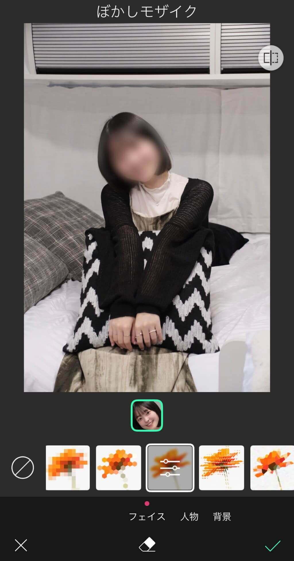 今回はぼかしモザイクを選んでみた