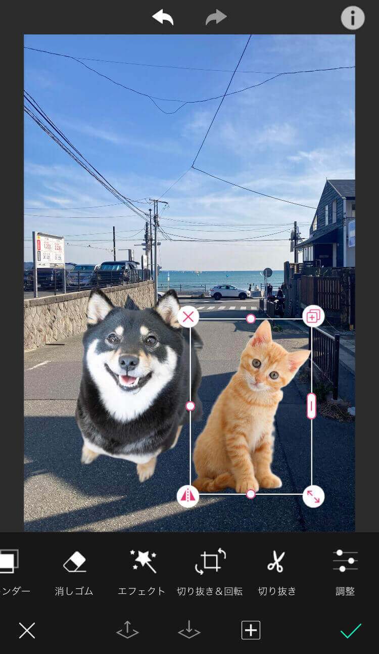 写真の大きさや位置を微調整して完成