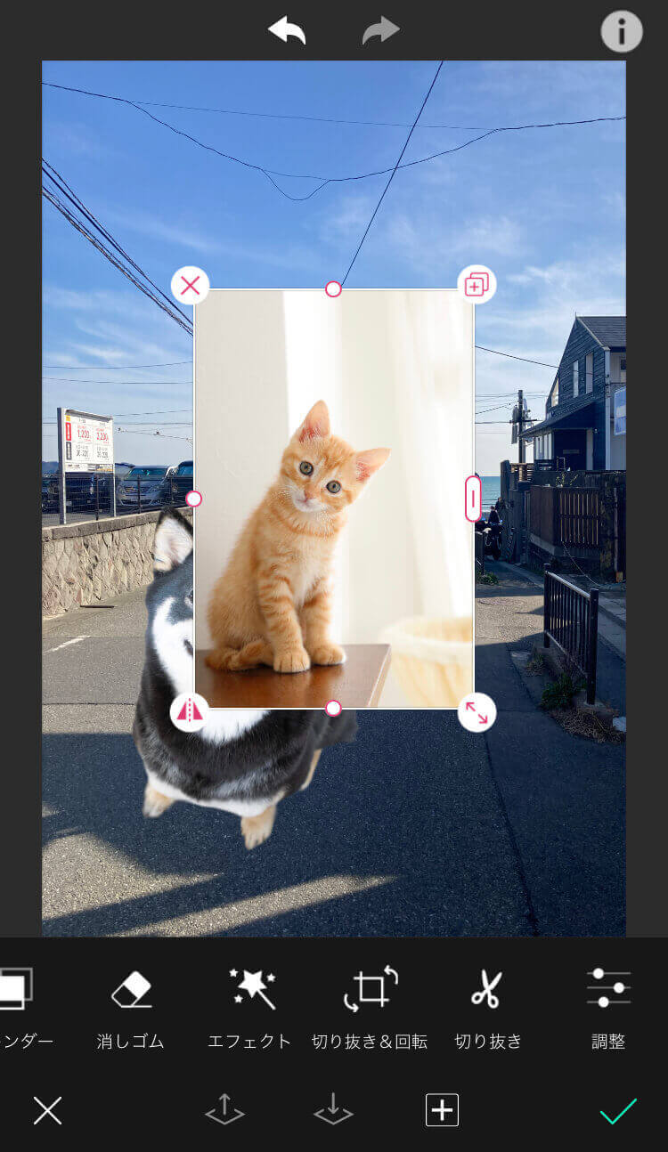 追加した写真の編集