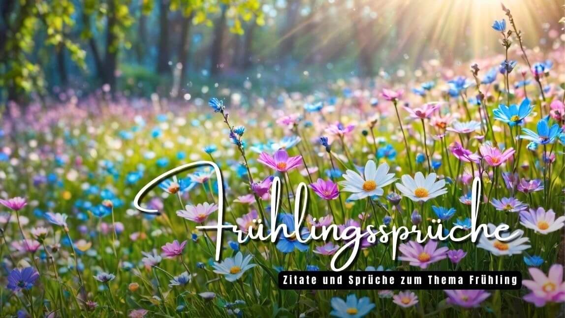 Eine blühende Frühlingswiese mit bunten Blumen und Sonnenstrahlen im Hintergrund. Der Text „Frühlingssprüche – Zitate und Sprüche zum Thema Frühling“ ist darüber gelegt.