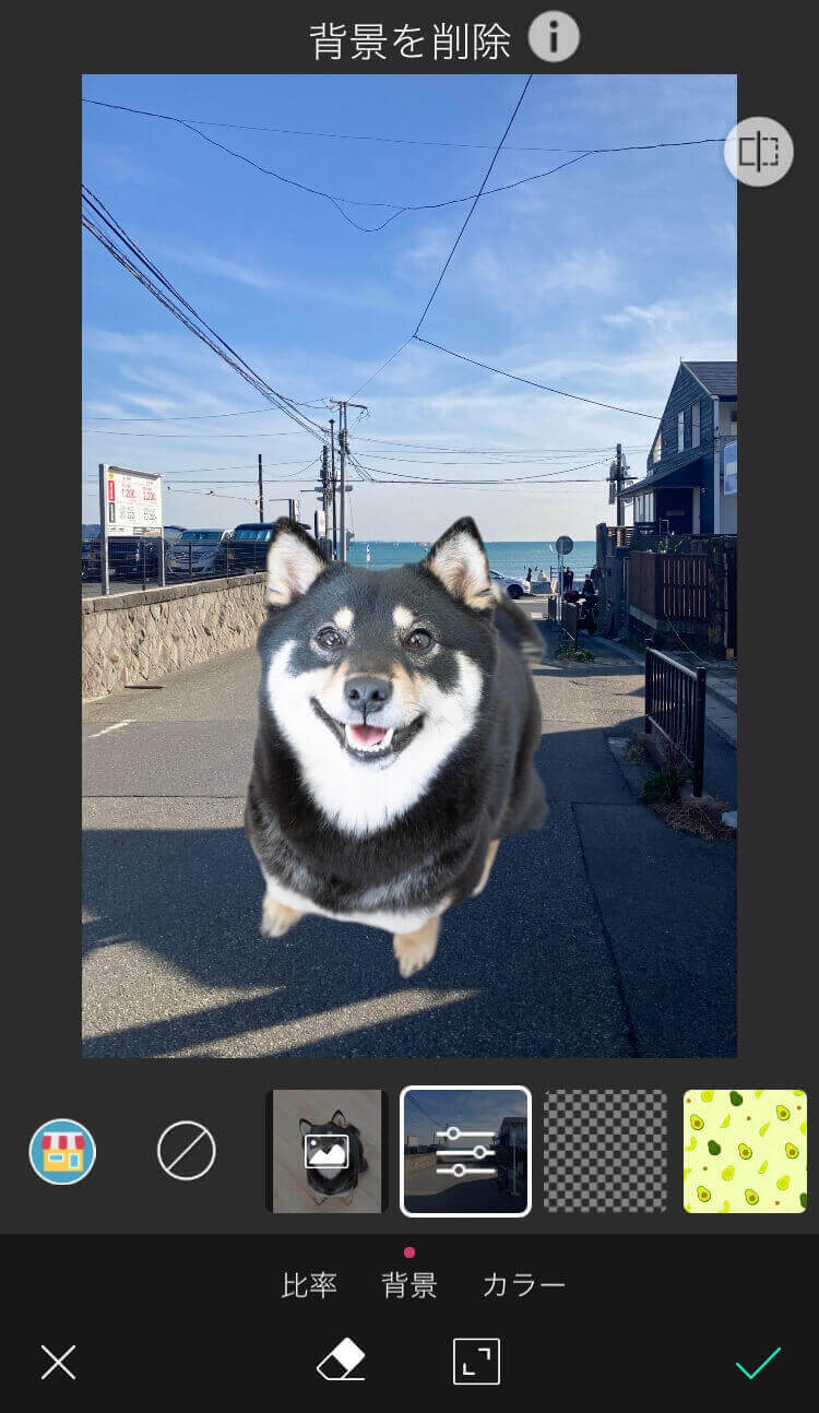 合成したい被写体の位置や大きさを調整