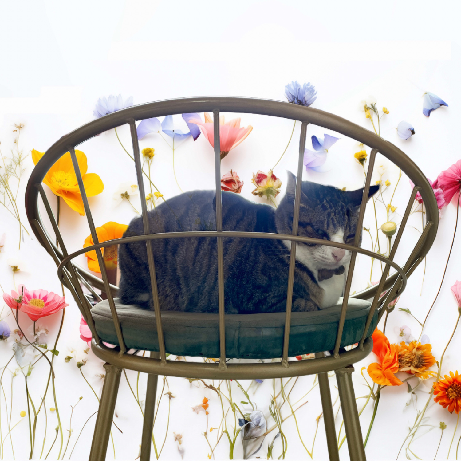 背景を合成した切り抜き画像