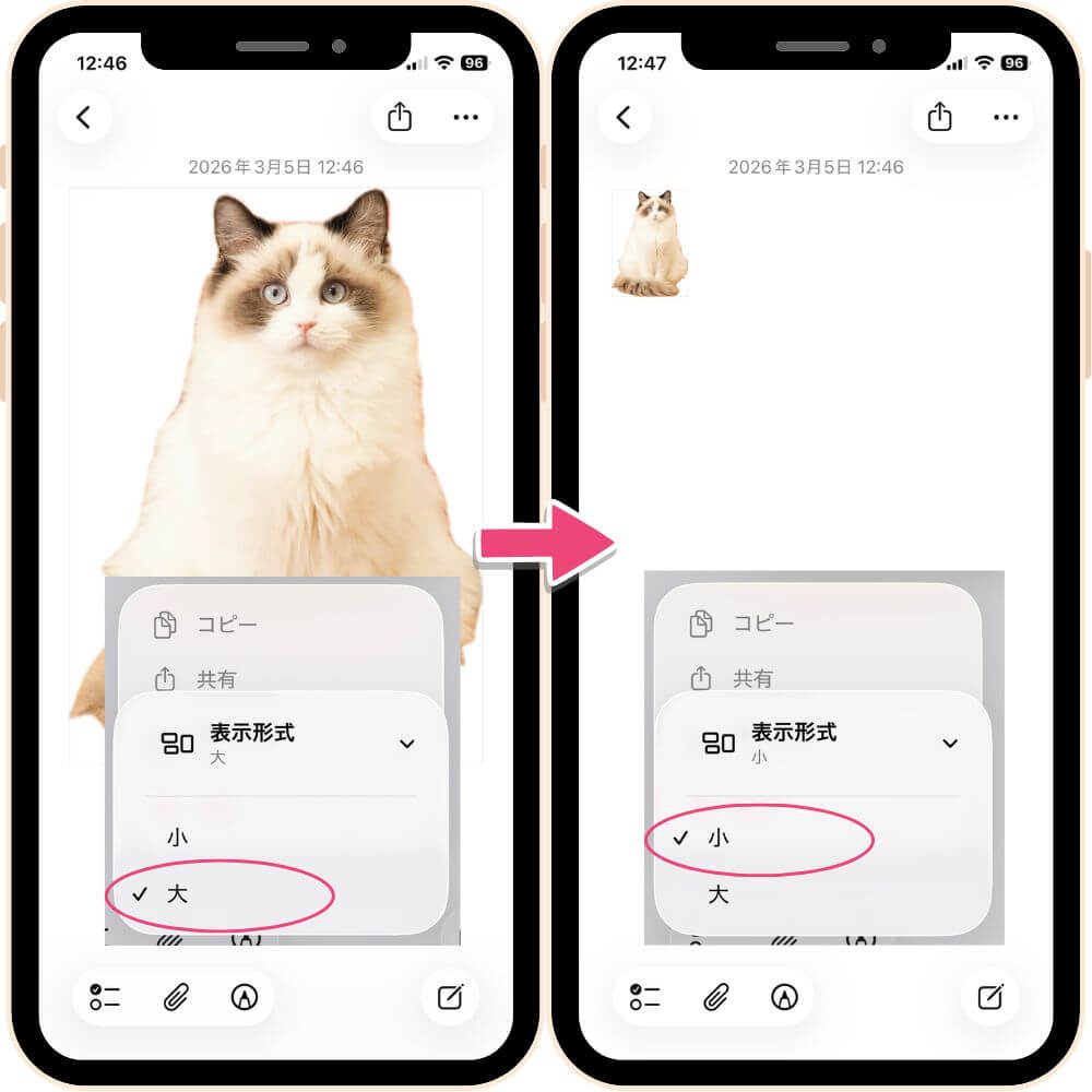 メモアプリに貼り付ける