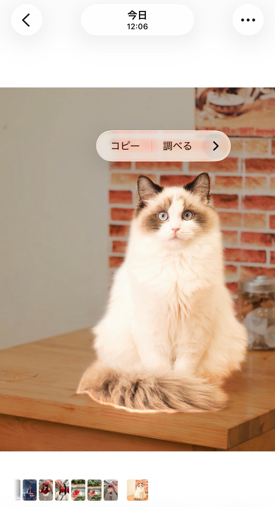  被写体を長押しする