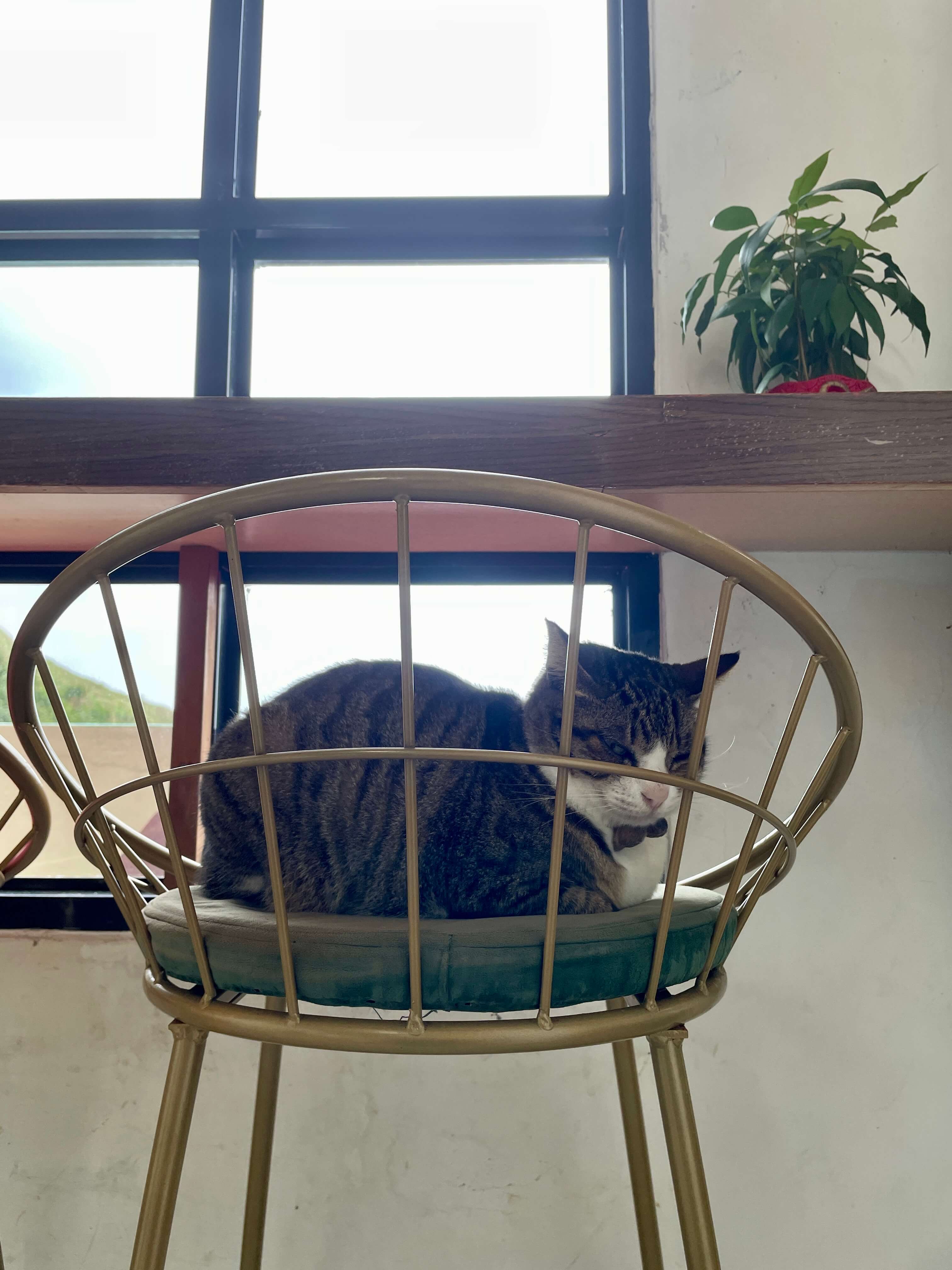 切り取りにくい写真