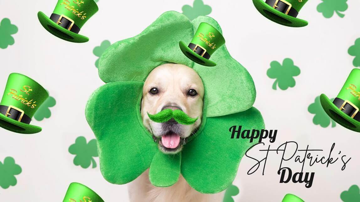 Best Photo Editor to Create Free St. Patrick's Day Images