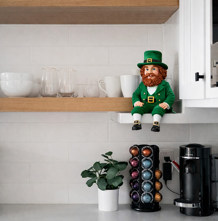 What is a Leprechaun?