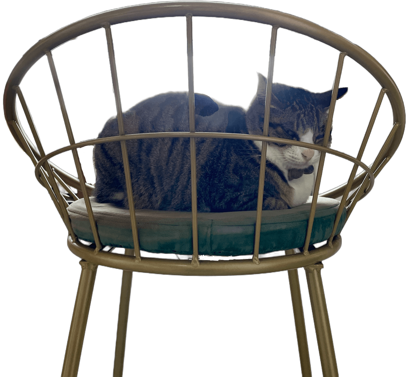 ユーカムを使った切り抜き