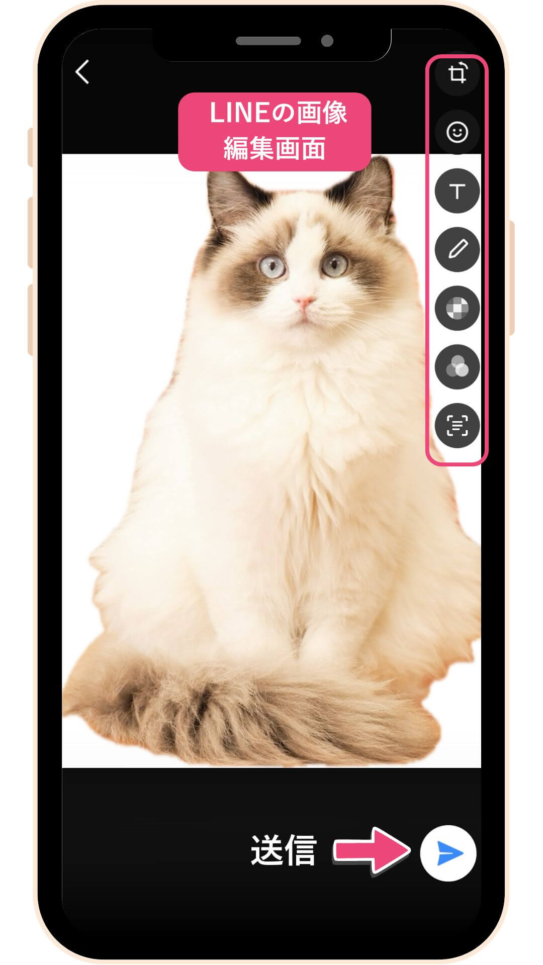 LINEに貼り付けて送る