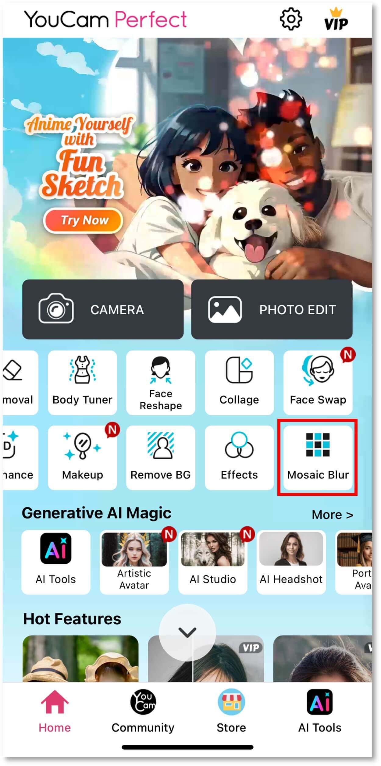 Allez dans Mosaique Flou