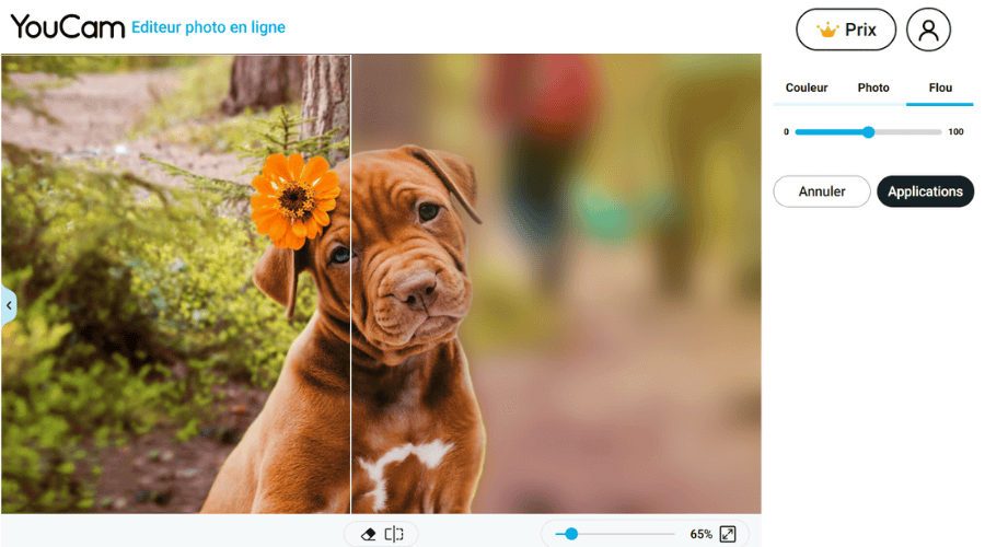 Avant après flouter arriere plan photo en ligne via IA : YouCam Editeur en Ligne