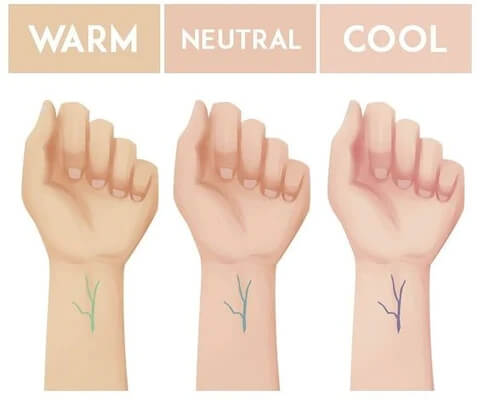 undertone test the vein test undertone test the vein test