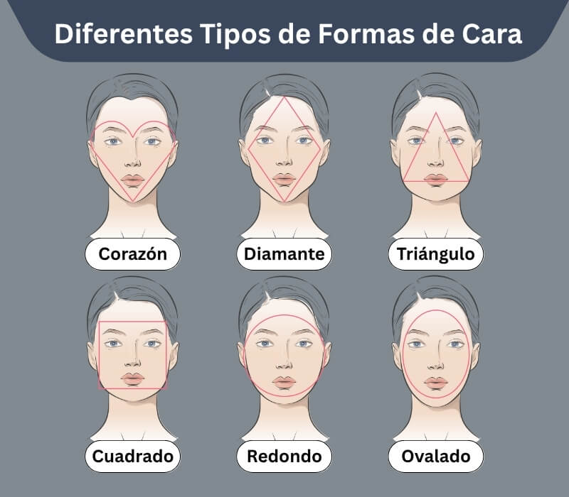 Ilustración de la clasificación de tipos de rostro en hombres.
