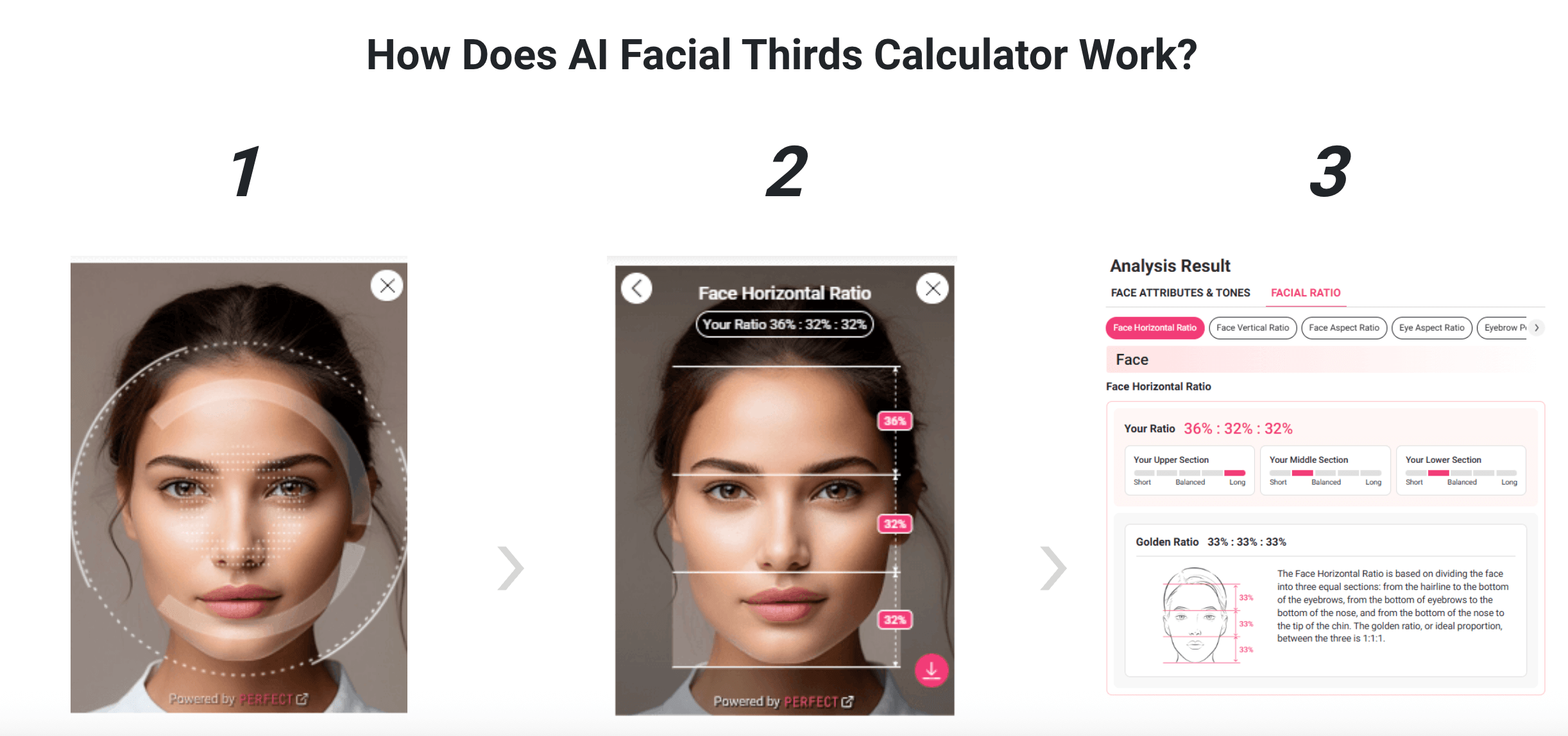 How Does AI Facial Thirds Calculator Work? How Does AI Facial Thirds Calculator Work?