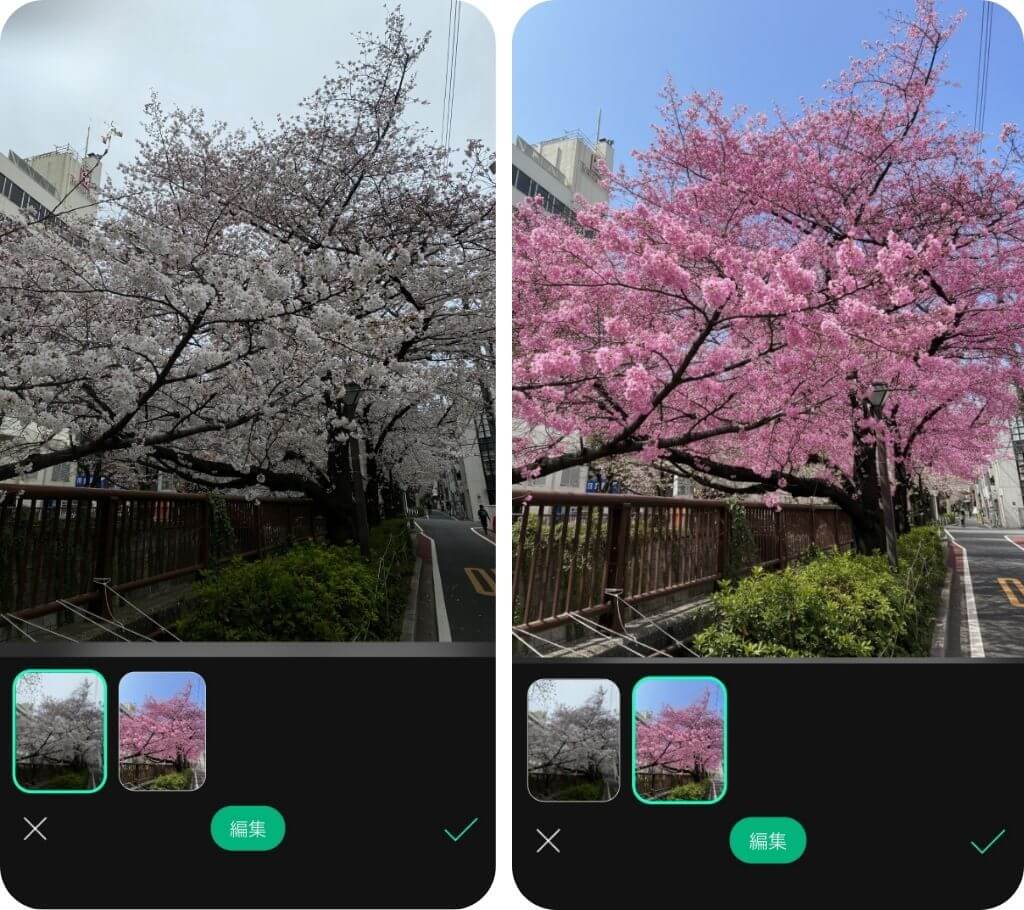 AIで桜写真を加工 AIで桜写真を加工