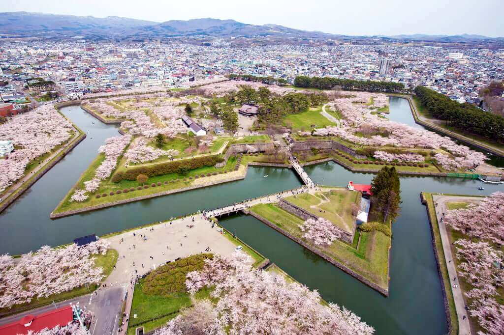 五稜郭公園の桜
