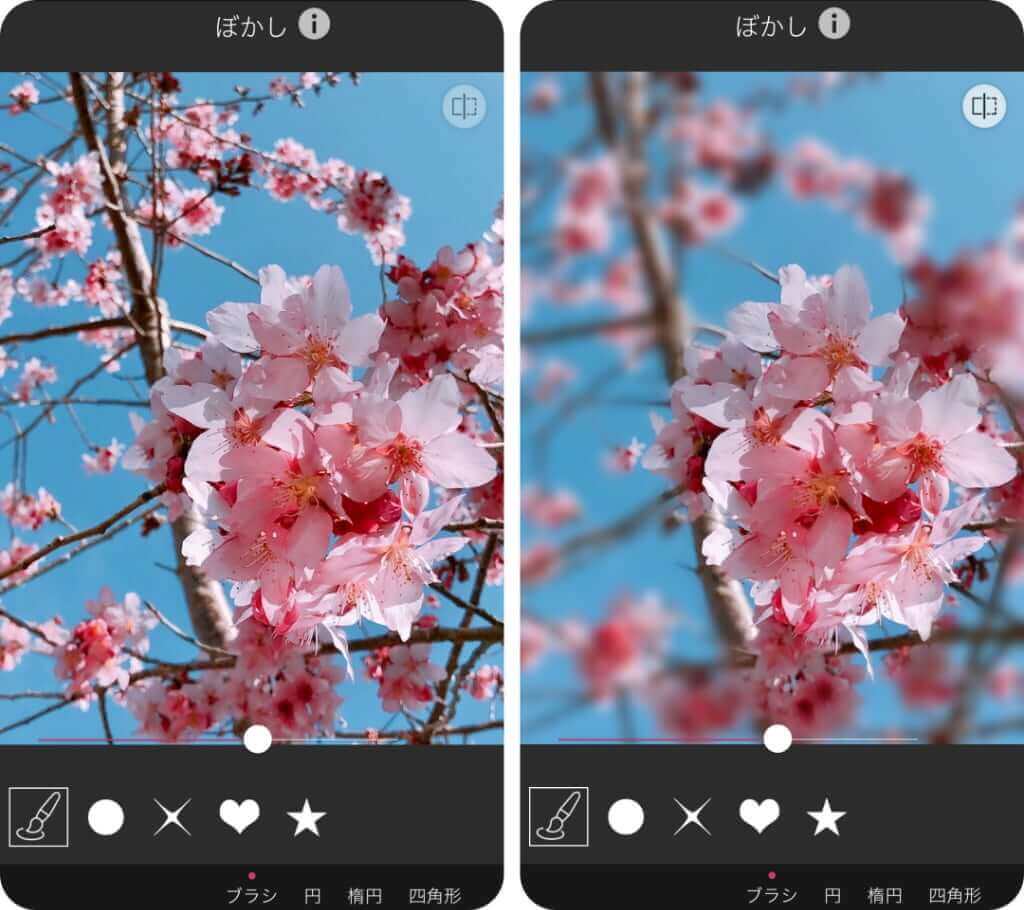 桜の写真の背景をぼかす 桜の写真の背景をぼかす
