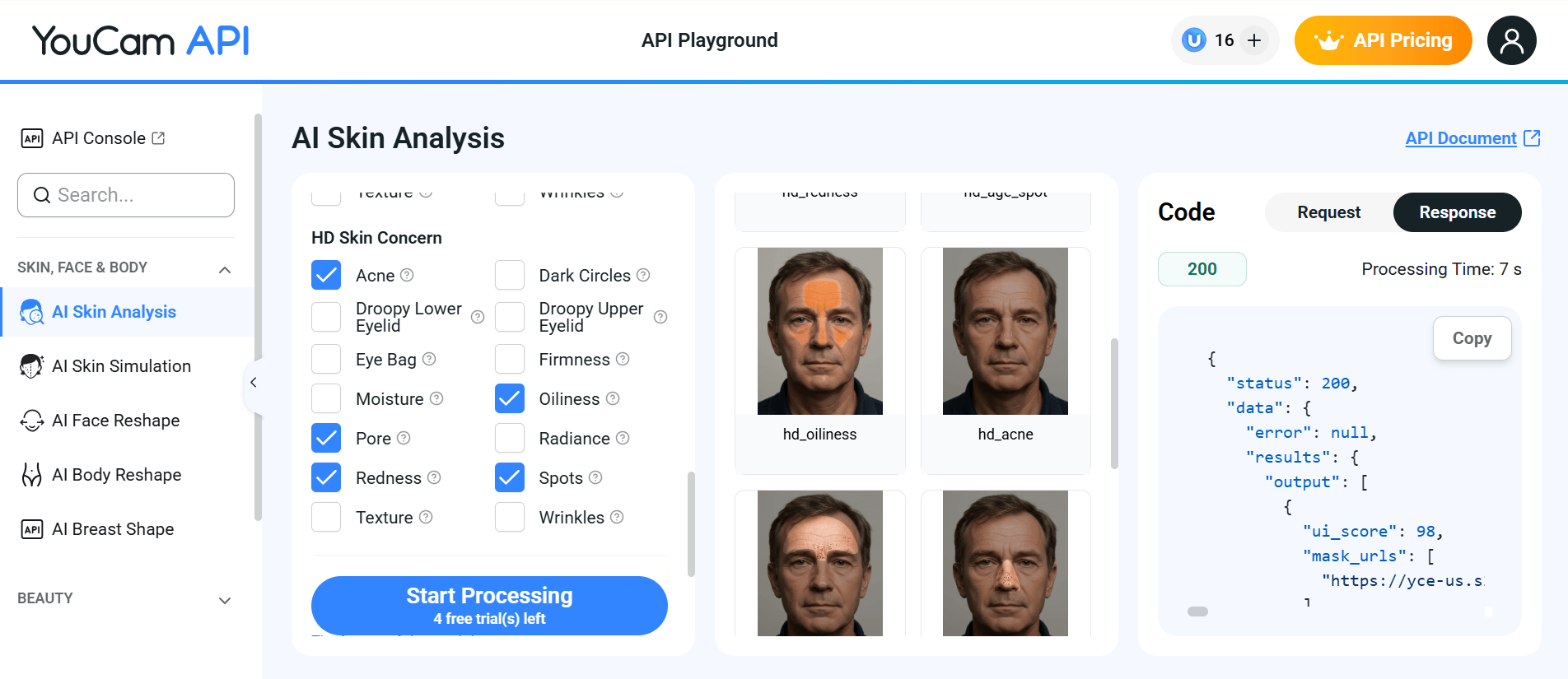 skin analysis api playground