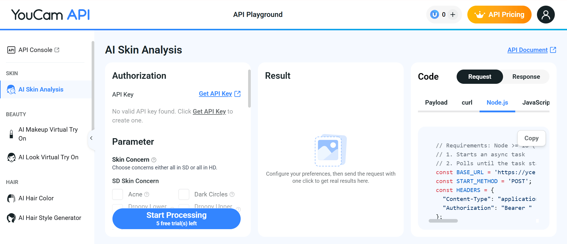 api playground