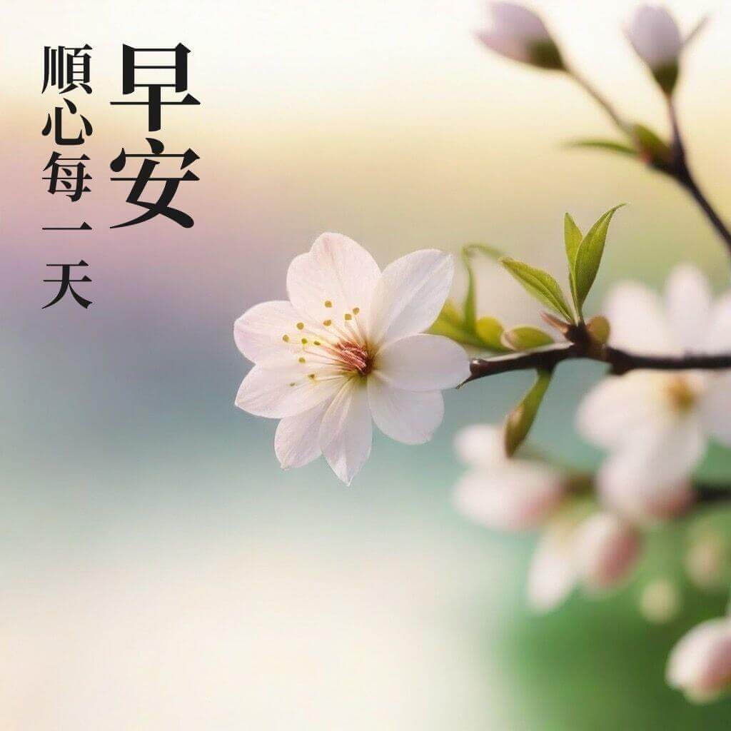 清明節早安圖｜早安順心