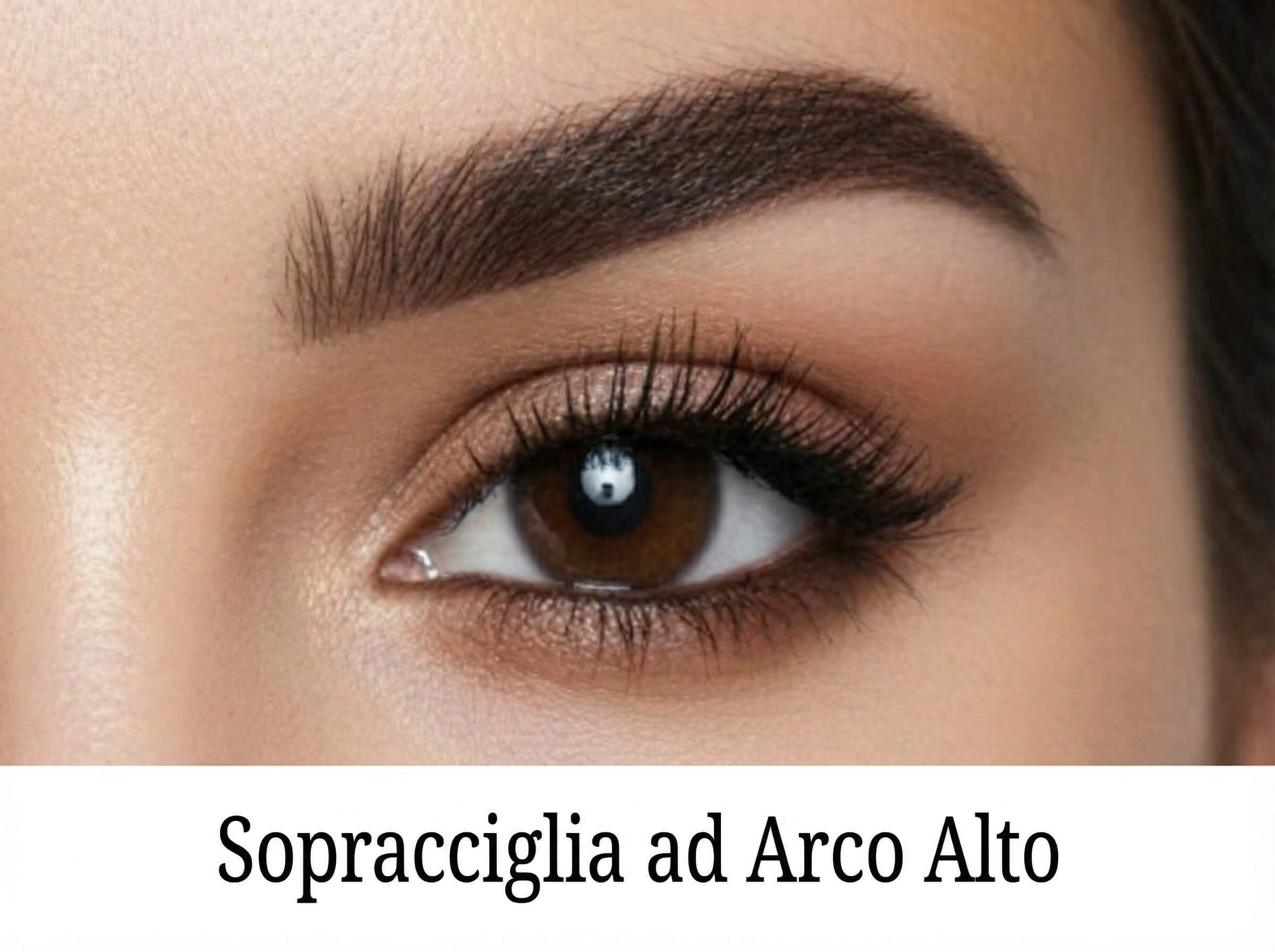 Sopracciglia ad arco alto