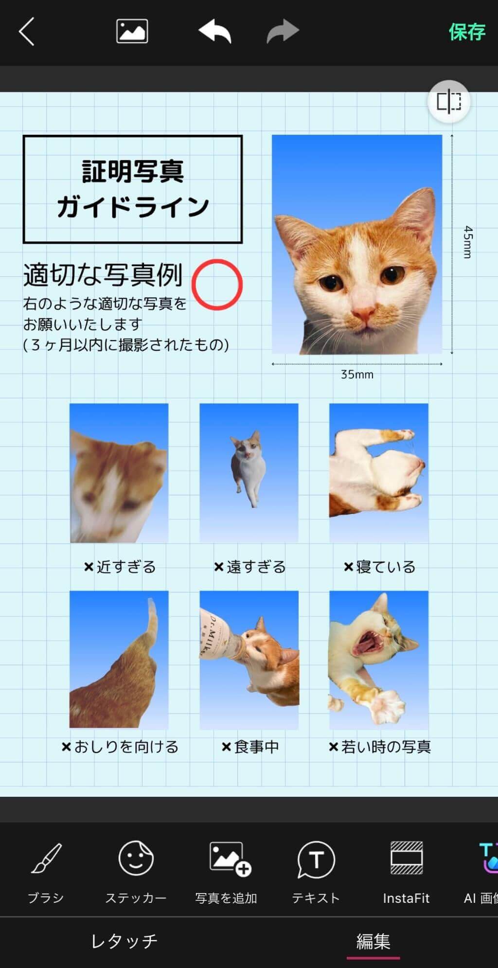 完成した証明写真ガイドライン