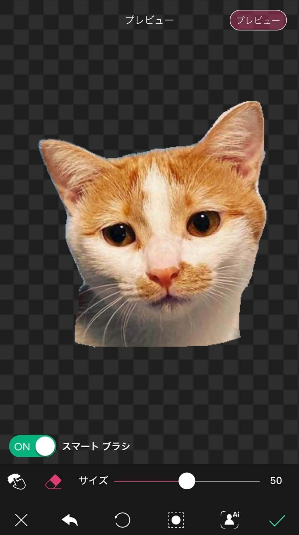 AIが写真を切り抜いた様子