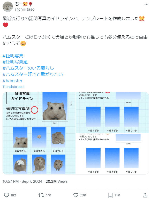 @rvxqll_さんの証明写真ガイドライン素材