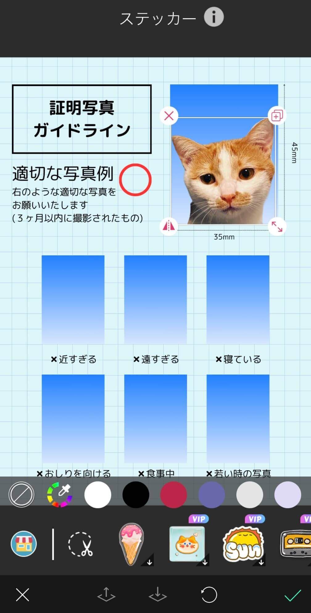 証明写真ガイドラインに貼る