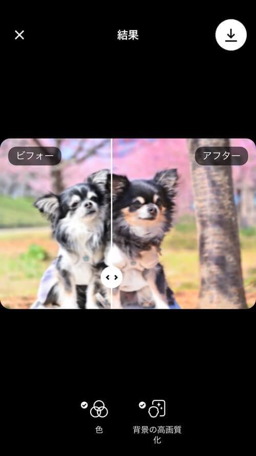 Reminiでピンボケ補正