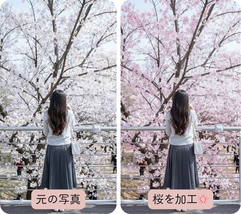 桜をピンクに加工