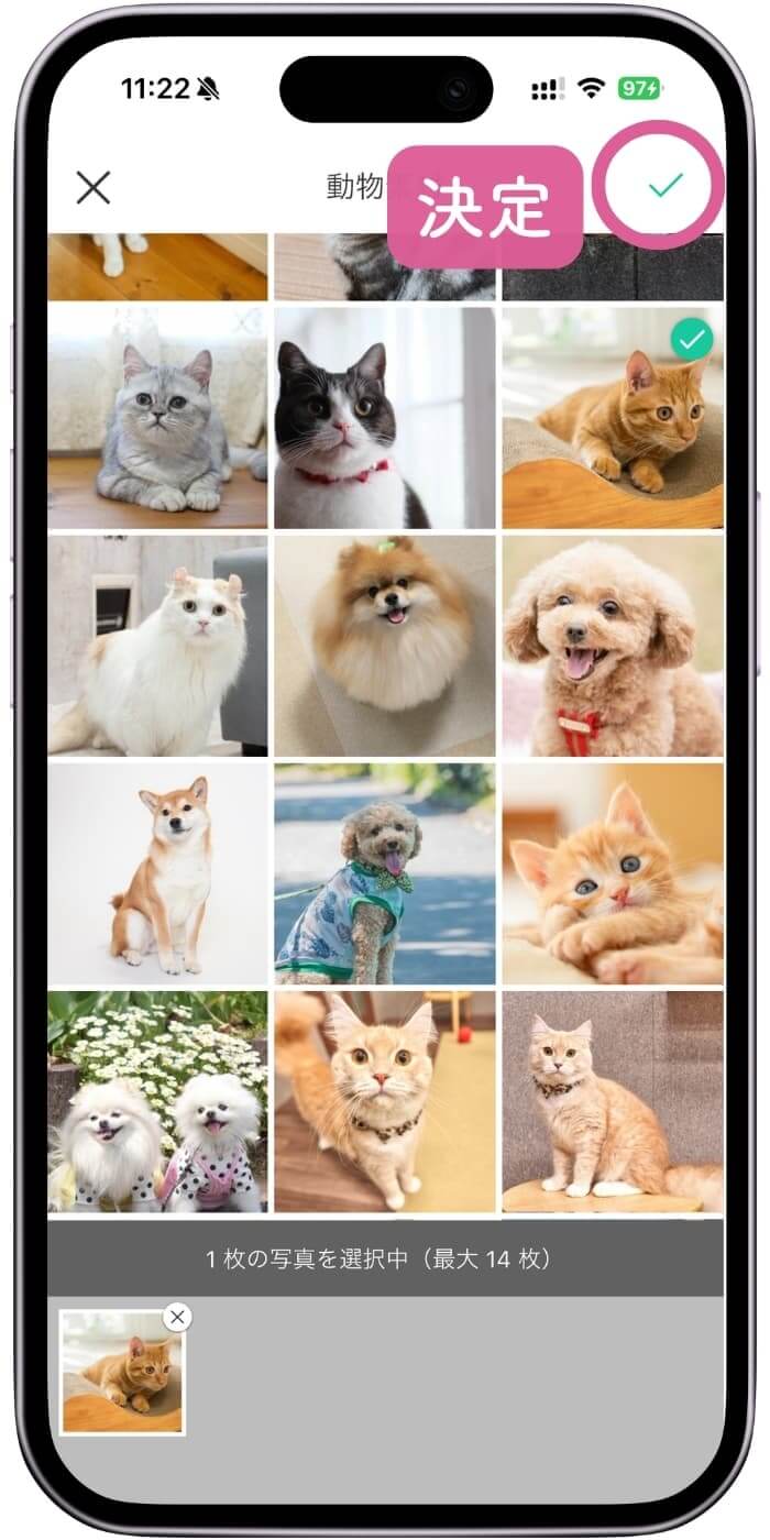 ぬいぐるみにしたい写真をアップロード