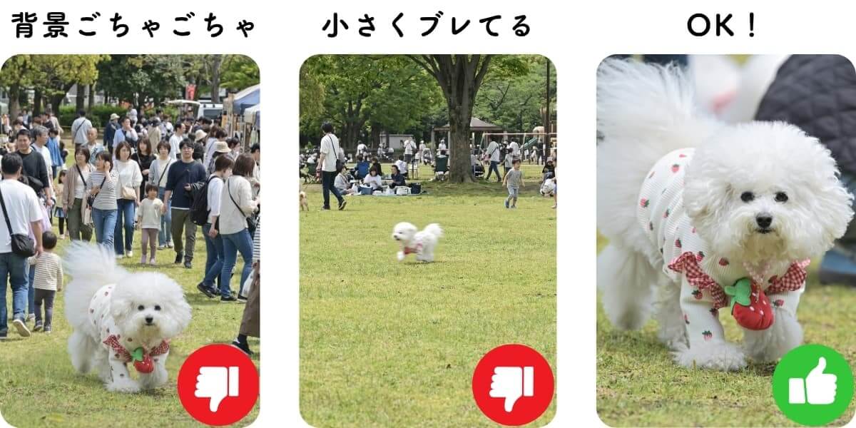 失敗しない写真の選び方