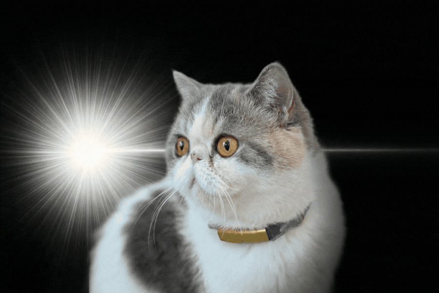 SNSで流行りのキュピーン画像