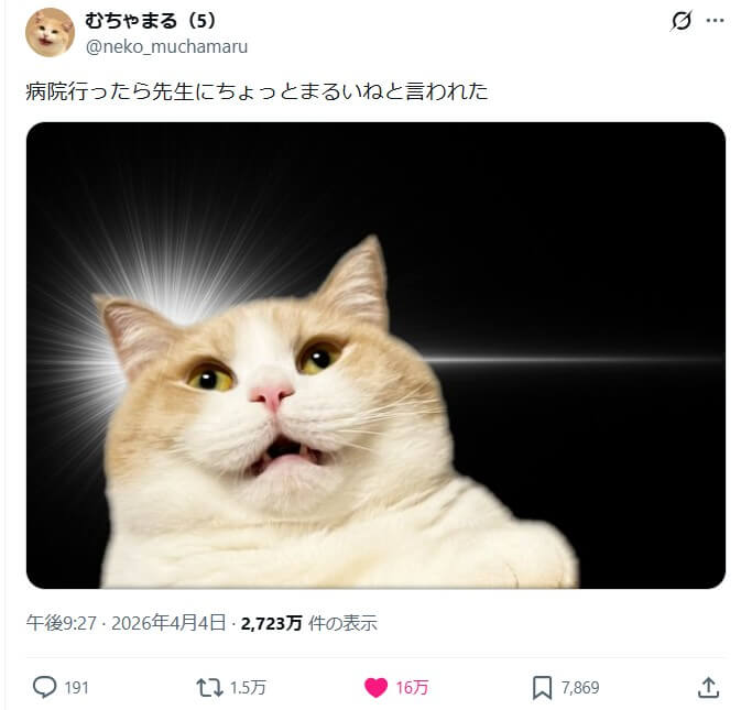 キュピーンの元ネタとなった猫の投稿