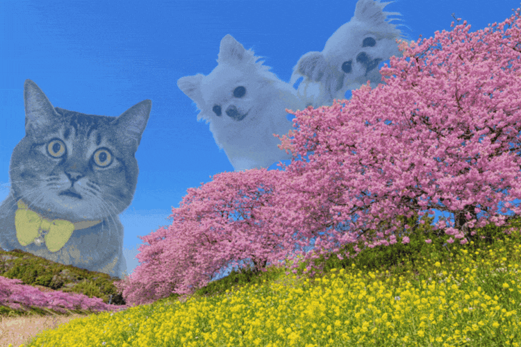 SNSで目にする流行りのコラ画像