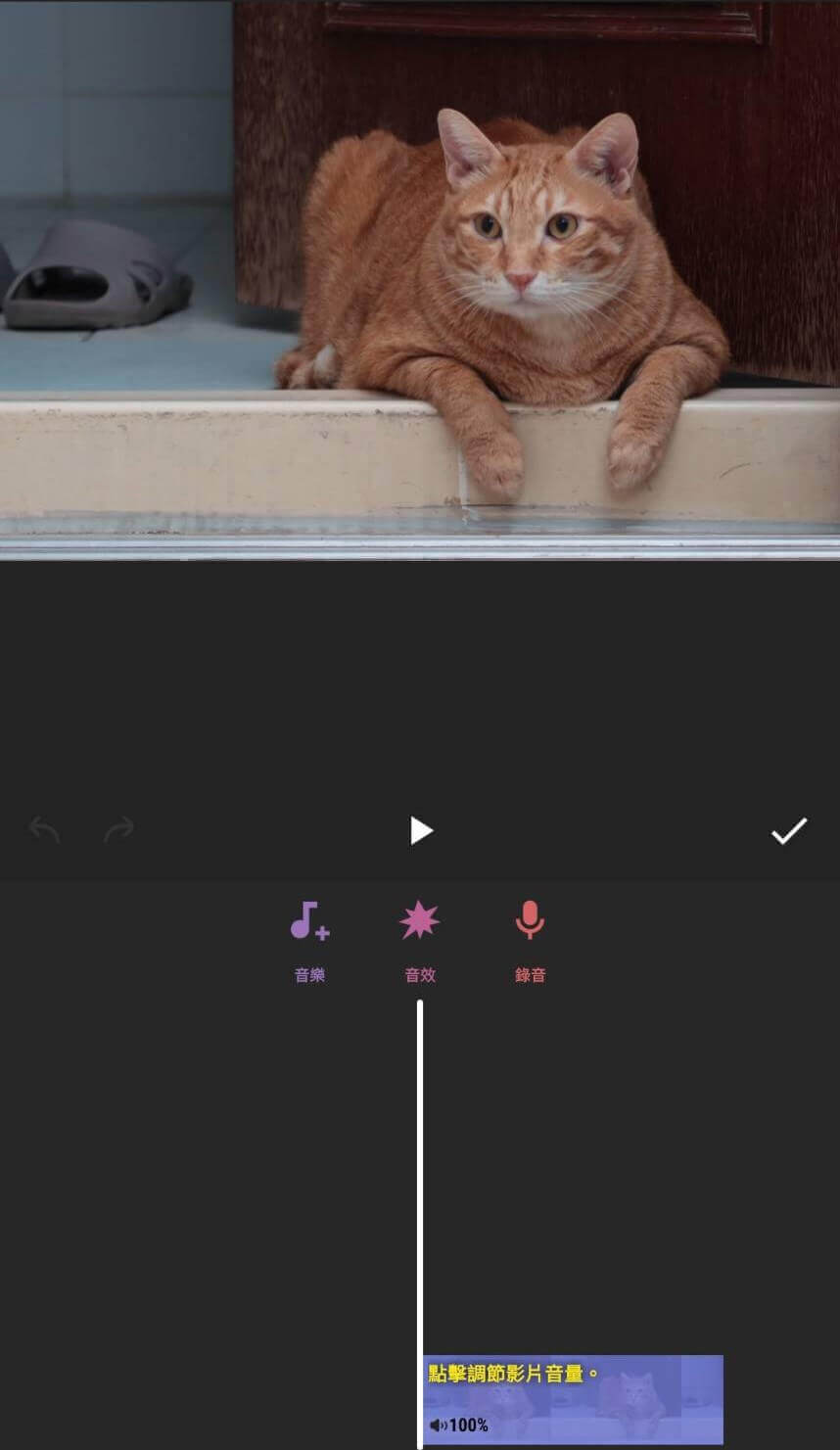 InShot：照片及影片降噪、加音樂App