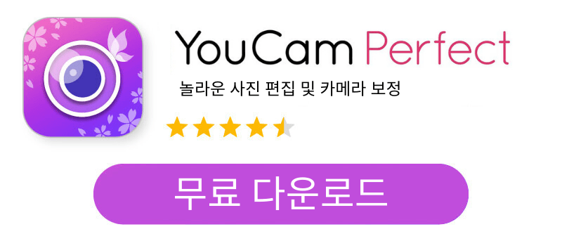 YouCam Perfect 앱 다운로드